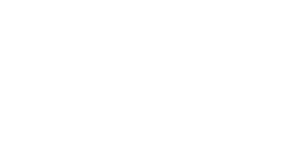 Festival de Cannes